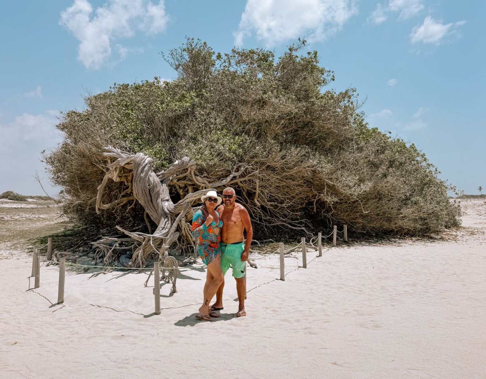 Imagem do WhatsApp de 2025-11-03 à(s) 19.54.40_34a15b00